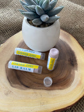 Load image into Gallery viewer, Tinted Zinc Lip Balm with SPF 15 Protection | Zinc + Tallow + Beeswax | Natural Lip Moisturizer